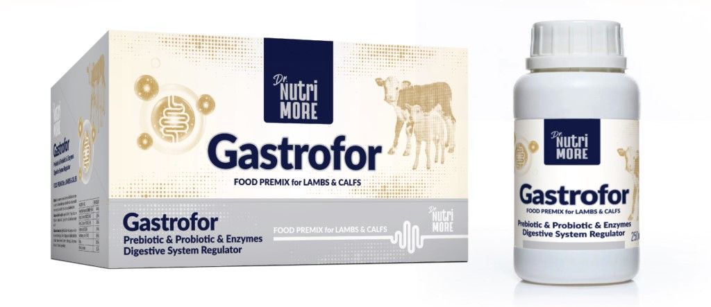 İSHAL ÖNLEYİCİ DR. NUTRİ MORE GASTROFOR 250 ML (PREBİOTİC-PROBİOTİC-ENZYMES)