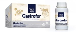 İSHAL ÖNLEYİCİ DR. NUTRİ MORE GASTROFOR 250 ML (PREBİOTİC-PROBİOTİC-ENZYMES)