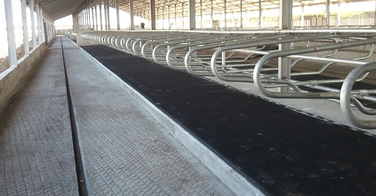 HAYVAN YATAĞI ŞİLTE İŞBİR (SİPARİŞ VE BİLGİ İÇİN 0533 763 37 89)