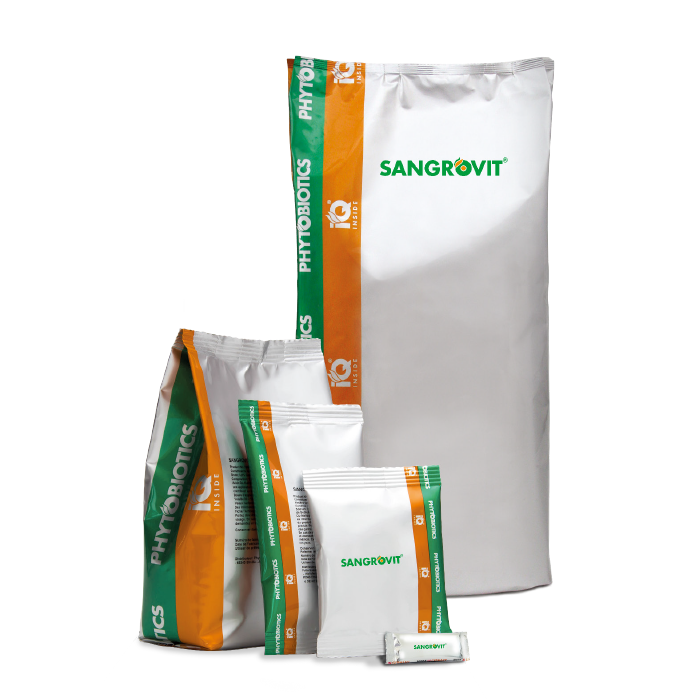SANGROVİT MS 100 GR