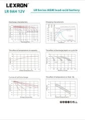 9 AMPER 12 VOLT LEXRON KURU AKÜ