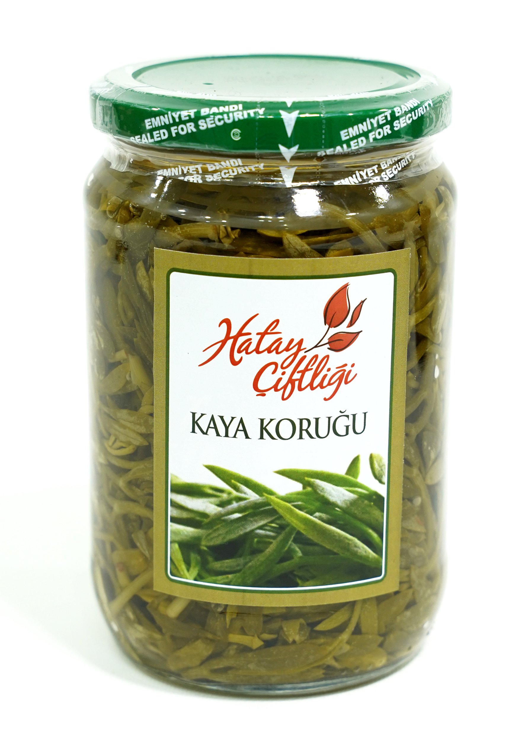 Kaya Koruğu