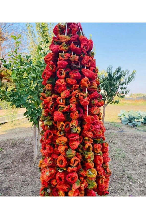 Kuru Biber 1 Bağ (50Ad)