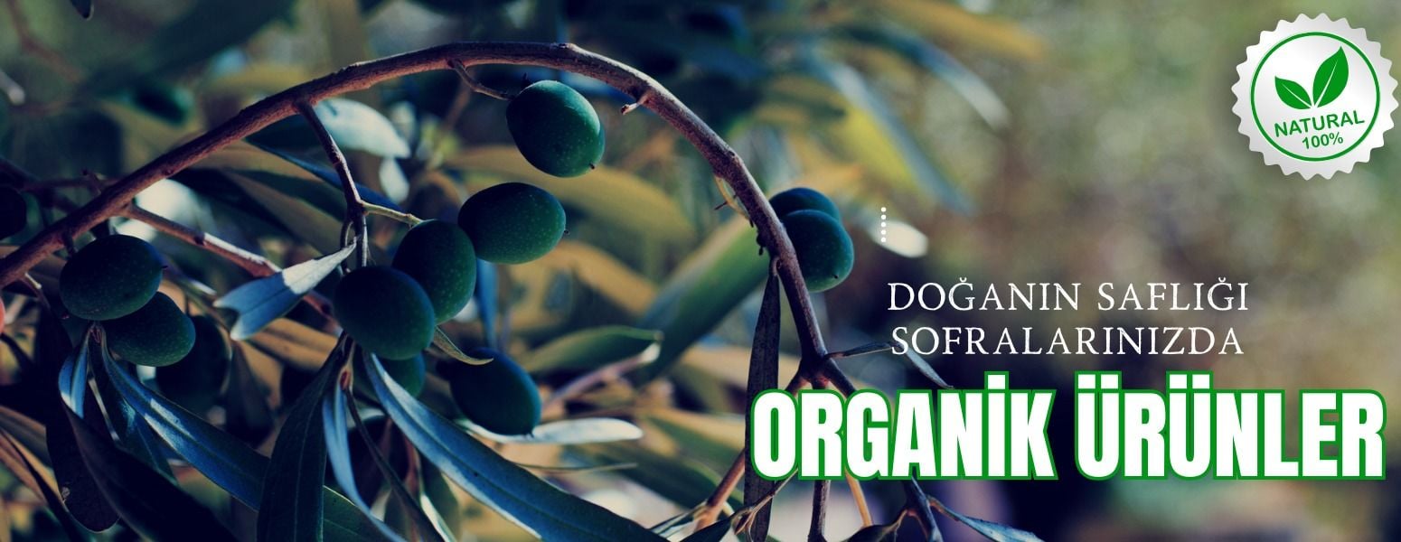 Organik