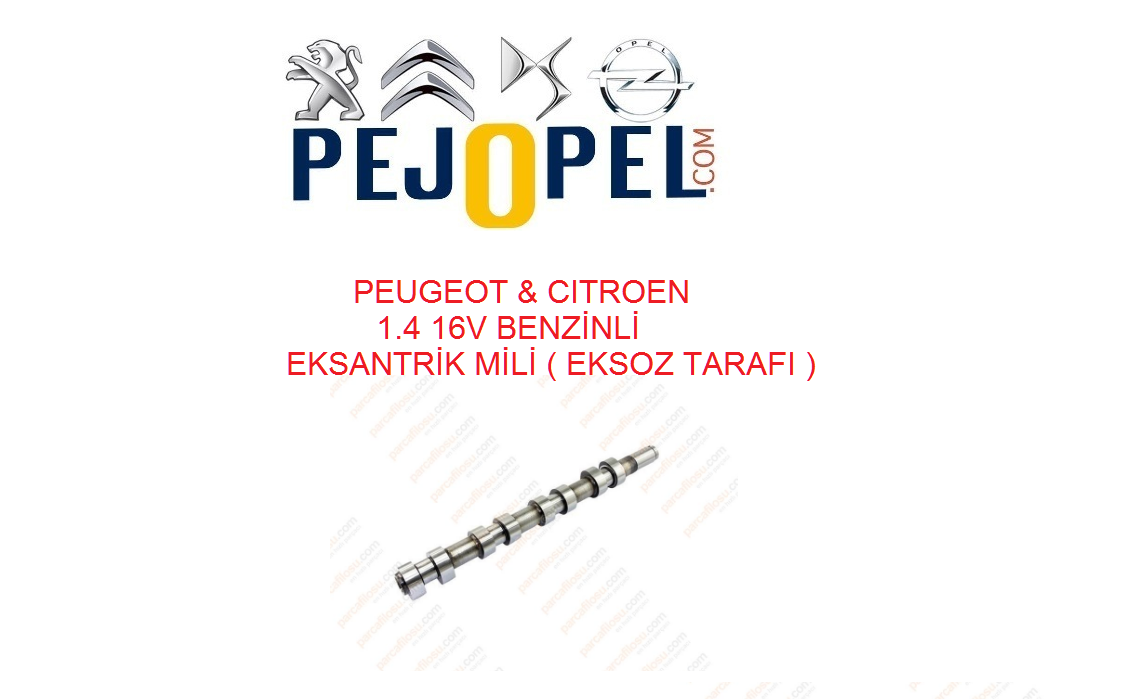 PEUGEOT & CITROEN 206 / 207 / 307 / C3 / C4 EKSANTRİK KAM MİLİ ( EKSOZ TARAFI )