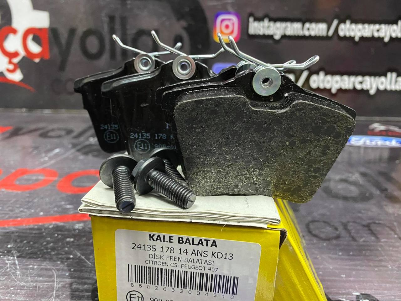 C5 09- Arka Balata Kale