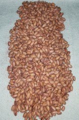 2. Kalite Siirt Fıstığı 1 KG