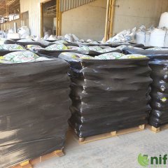 Dolomit Taşı 4-6 CM 20 KG * 60 ADET 1 PALET