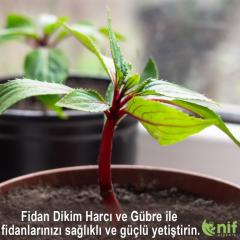 FİDAN DİKİM KİTİ - Fidanlarınızın sağlıklı gelişimi için