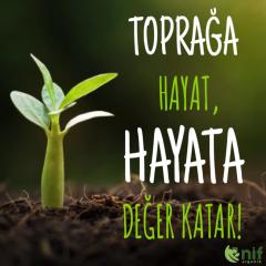 FİDAN DİKİM KİTİ - Fidanlarınızın sağlıklı gelişimi için