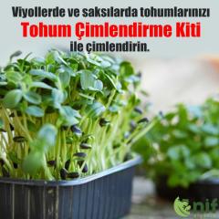 TOHUM ÇİMLENDİRME KİTİ 2- Çiçek Meyve ve Sebze Tohumlarınız İçin Özel Karışım