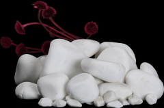 Nif Organik Dolomit Taşı 2-4 cm 20 Kg