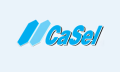 Casel