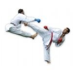 Karate Elbisesi Kumite 190