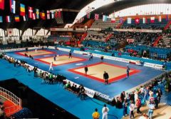 Judo Minderi Agglorex IJF onaylı 100x200x5cm