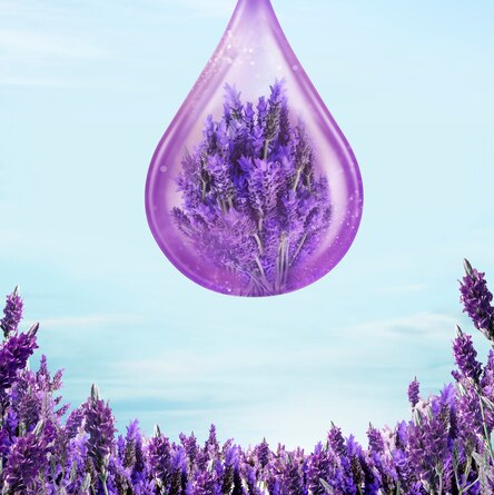 LAVANTA HİDROSOLÜ İNTERMEDİA YAĞ ALTI