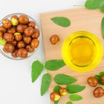 Jojoba Yağı Soğuk Sıkım