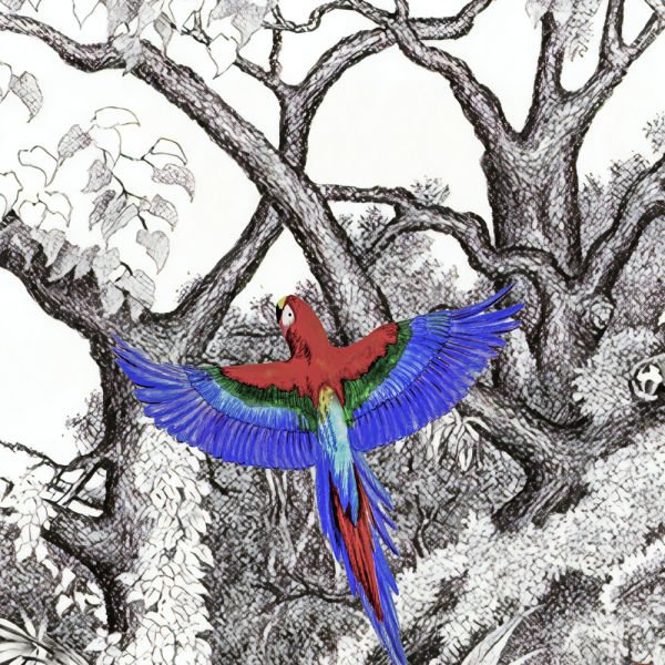 Siyah Beyaz Çizim Ormanda Renkli Papağanlar Duvar Kağıdı