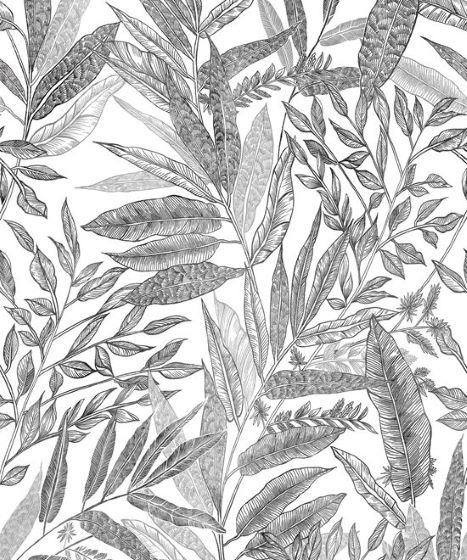 Karakalem Çizim Yapraklar Bitkiler Duvar Kağıdı