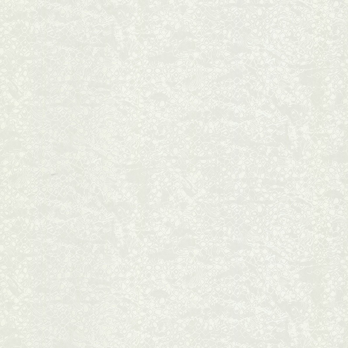 Roberto Cavalli 8 Nolu Koleksiyon Desenli Beyaz