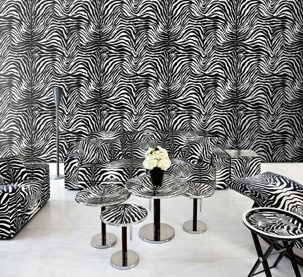 Dolce Gabbana Zebra Siyah Beyaz Duvar Kağıdı