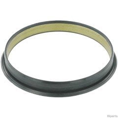 Ford Vakum Pompa Keçesi V184 B.M 1C1Q 2A454 AC-1794375