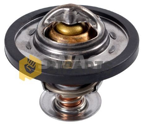 Ford Termostad Boxer Iıı Jumper Iıı V.347 2.2 XS7Q 8575 AA