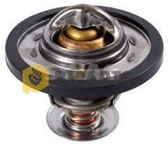 Ford Termostad Boxer Iıı Jumper Iıı V.347 2.2 XS7Q 8575 AA