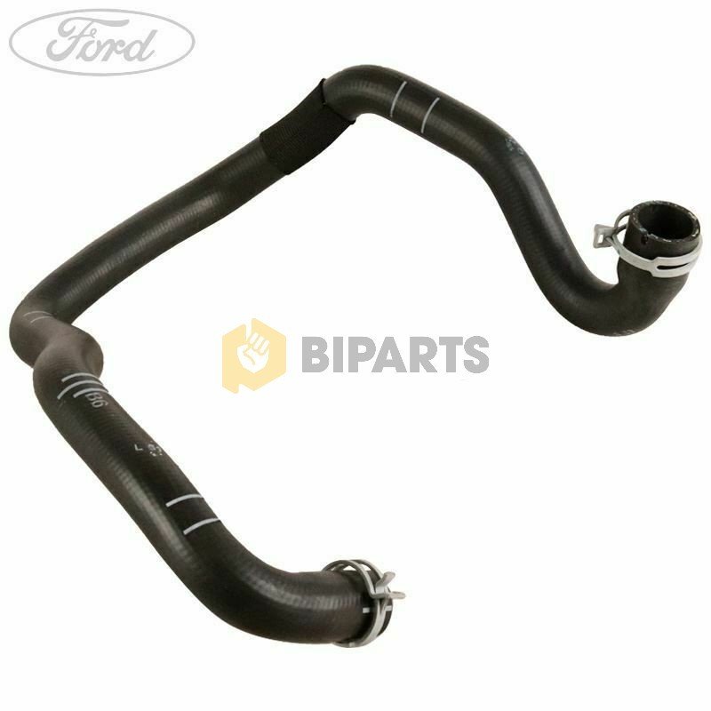 Ford Focsu 11- Bm Hortum - Radyator 8V61 8286 KE