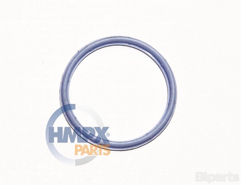 Ford TRANSIT V347 2.4 D 04- Emme Manifold Boğaz Lastiği ARI 954