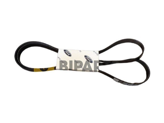 Ford Fiesta 02> V. Kayışı 2S6G 6C301 Ka 6PK 2179