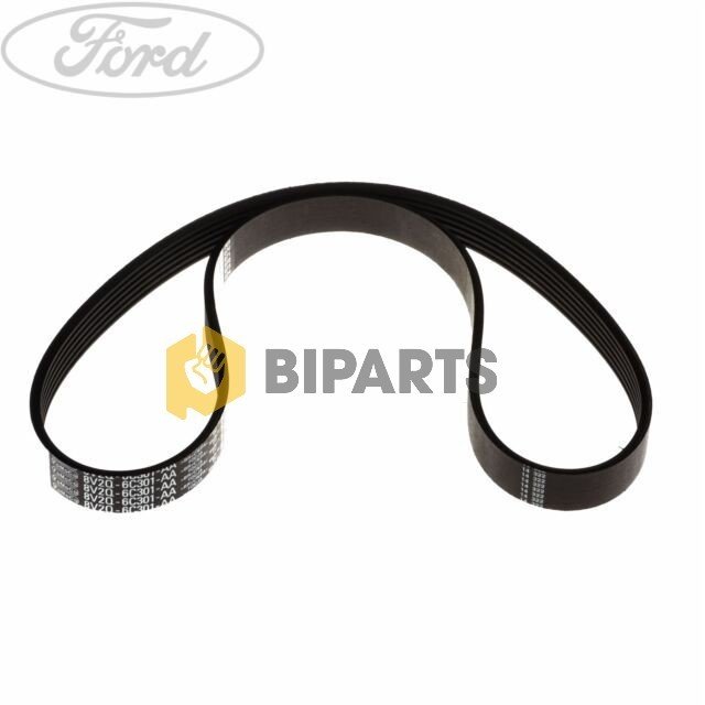 Ford Fiesta 09> V.Kayış Kiti 8V2Q 6D314 AD