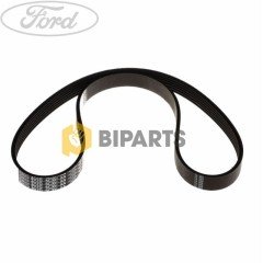 Ford Fiesta 09> V.Kayış Kiti 8V2Q 6D314 AD