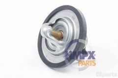 Ford FOCUS-FIESTA BENZİNLİ Termostat HMP 96MM 8575 A1A