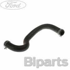 Ford Radyatör Alt Hortumu Fiesta 1,4-1,6 Benzinli  8V21 8B273 AD-1705463