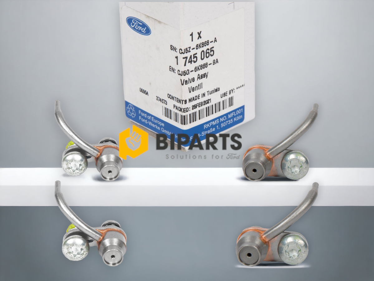 Ford 1.6 Ecoboost Volvo B4164T 1.6T Piston Yağlama Memesi Takım CJ5G-6K868-AA/BA 31330399 -31330398