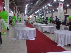 27 inch Jumbo Tek Renk Baskılı Balon