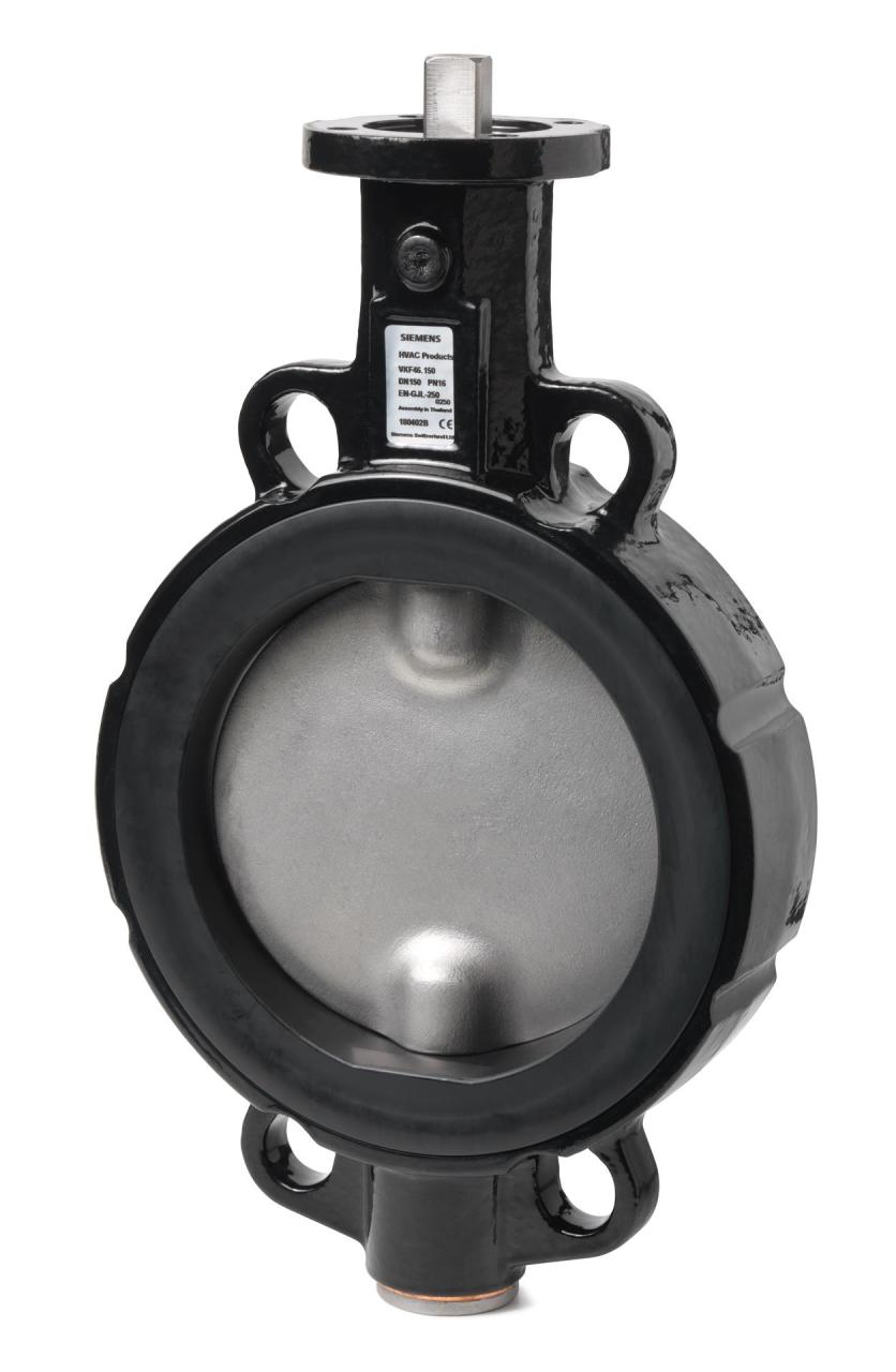 SIEMENS VANA KELEBEK PN16 VKF46.125