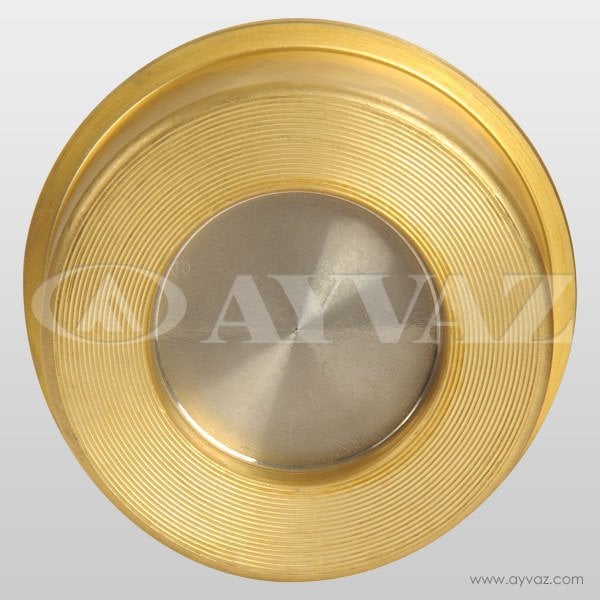 ÇEKVALF DİSCO PRİNÇ DN 65  ÇV-10/P