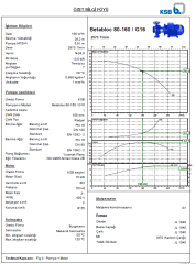 Ksb Betabloc 80-160 /G16 15 kW