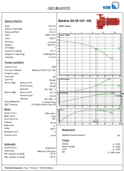 Ksb Betaline  GN 65-125 4 kW