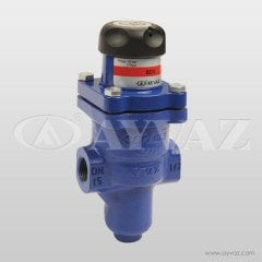 BASINÇ DÜŞÜRÜCÜ VANA BDV-25 0,14-1,7  BAR 1''