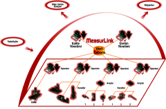 Mitutoyo 64AAB615R (R)ML WORKGROUP LICENSE V9, 15 LICENSES