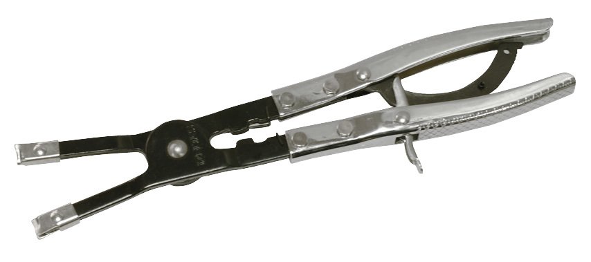 Piston segman pense 265 mm