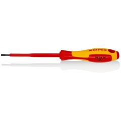 DÜZ UÇLU TORNAVİDA 98 20 35