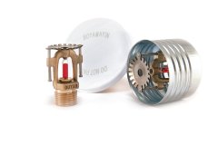 Gizli Tip Sprinkler  DY-3428 Hızlı Tepkimeli K 5,6 (80) - 1/2”NPT (68 °C, Pirinç) + Kapak