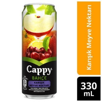 CAPPY BAHÇE KUTU 330 ML KARIŞIK