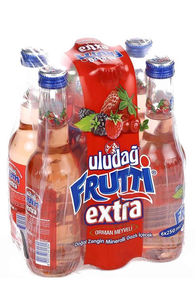 ULUDAĞ FRUTTİ EXTRA 6X250 ML ORMAN