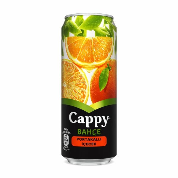 CAPPY BAHÇE KUTU 330 ML PORTAKAL