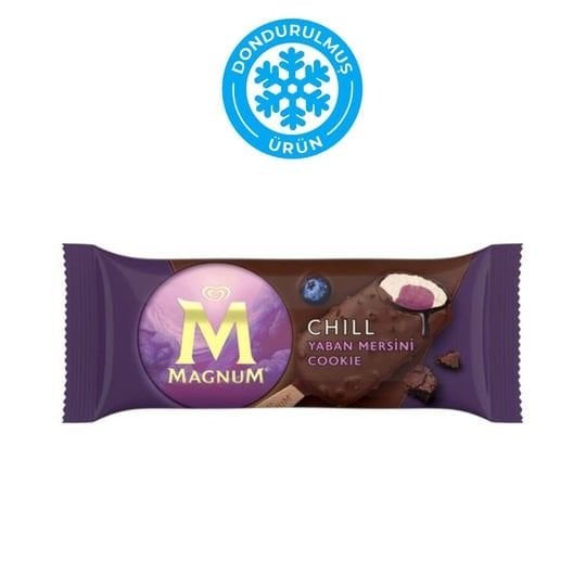 ALGİDA MAGNUM DOUBLE CHILL YABAN MER&COOKIE  85 ML